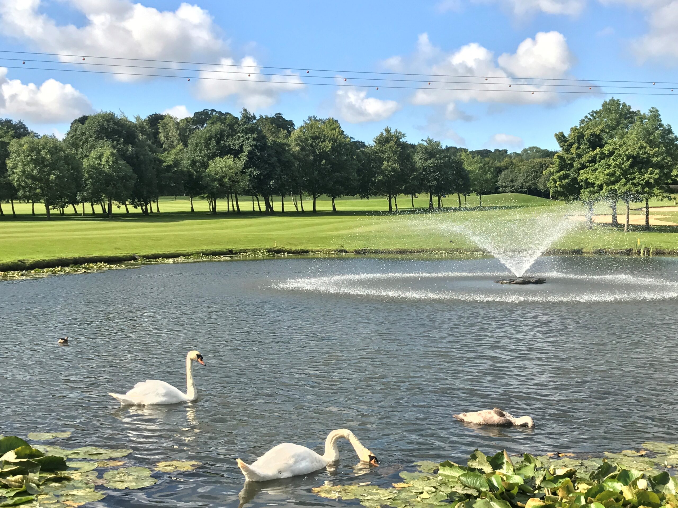 10% Off Green Fees