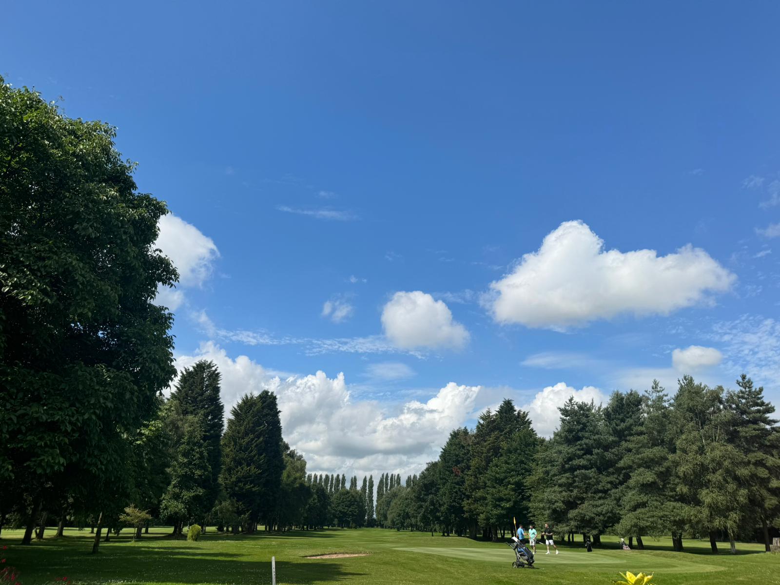 Introductory Bonus for Joining