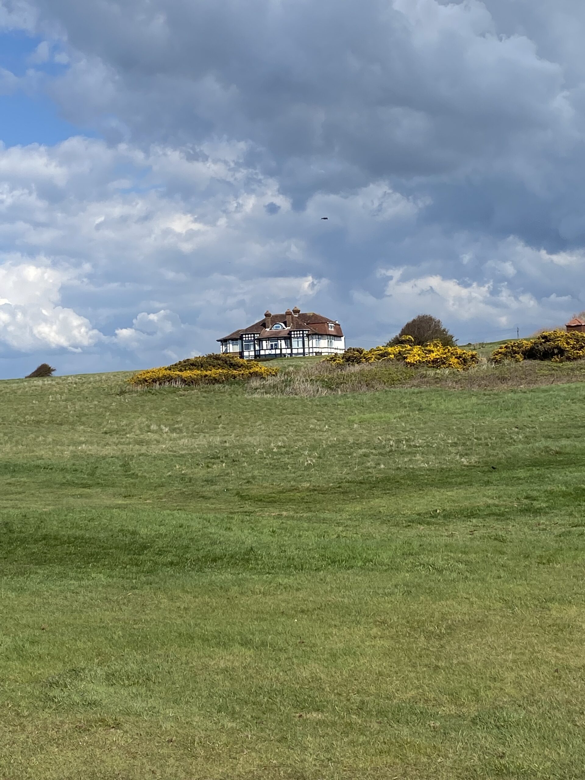 August Green Fee Offer